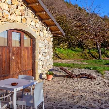 Longi Agriturismo Il Vignale מראה חיצוני תמונה
