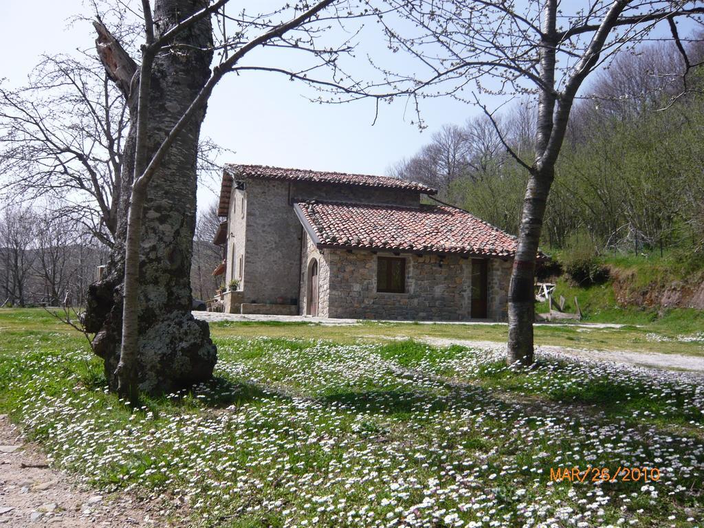 Longi Agriturismo Il Vignale מראה חיצוני תמונה
