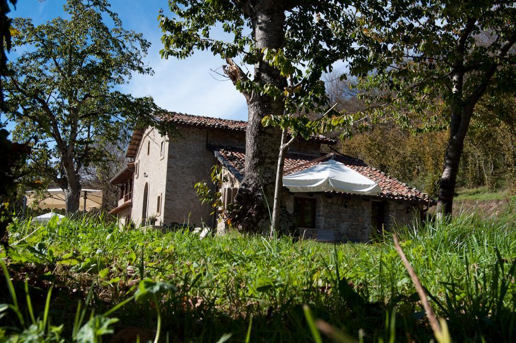 Longi Agriturismo Il Vignale מראה חיצוני תמונה